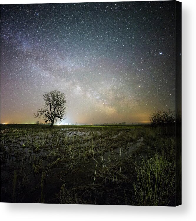 Jupiter Acrylic Print featuring the photograph Huron Tree by Aaron J Groen