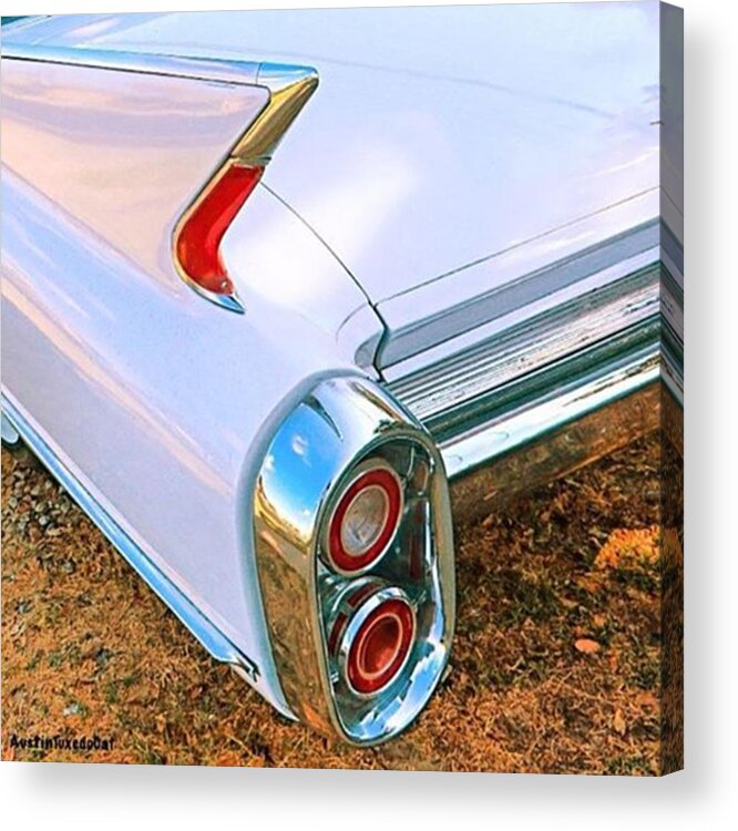 Classicscene Acrylic Print featuring the photograph I Have #carfin by Austin Tuxedo Cat