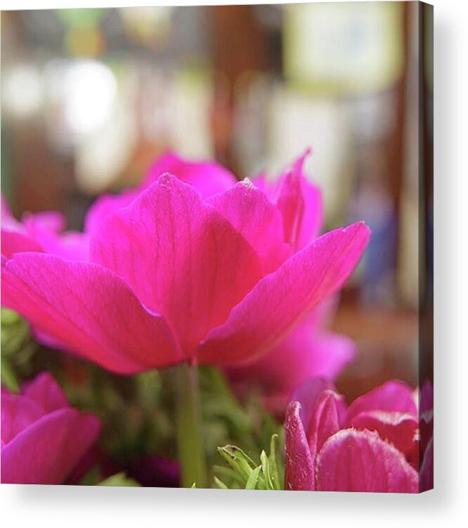 Happy Acrylic Print featuring the photograph I Love The Fuchsia Vivid Colours Of by Sungi Verhaar