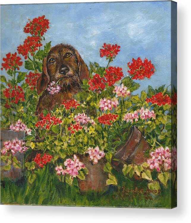 Dog Acrylic Print featuring the painting I picked it just for you by Barbel Amos