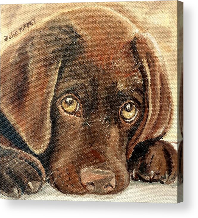 Chocolate Lab Acrylic Print featuring the painting I'm Sorry - Chocolate Lab Puppy by Julie Brugh Riffey