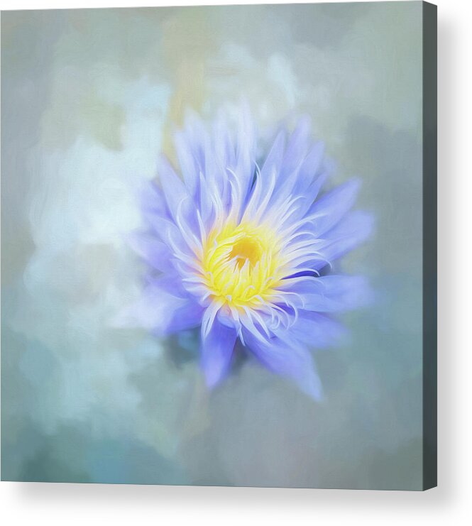 Waterlily Acrylic Print featuring the photograph In My Dreams. by Usha Peddamatham