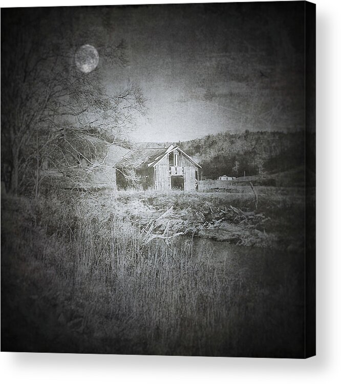 Digital Art Acrylic Print featuring the photograph In The Clearing by Melissa D Johnston