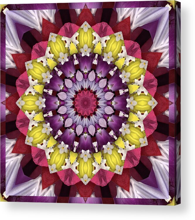 Mandalas Acrylic Print featuring the photograph Infinity by Bell And Todd