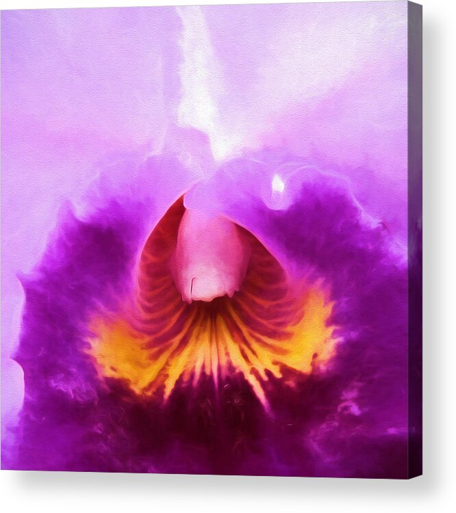 Orchid Acrylic Print featuring the photograph Inner Sanctum III by John Freidenberg