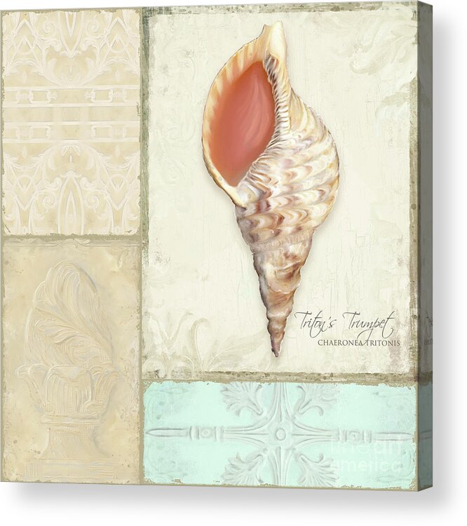 Tritons Trumpet Acrylic Print featuring the painting Inspired Coast Collage - Triton's Trumpet Shell w Vintage Tile by Audrey Jeanne Roberts