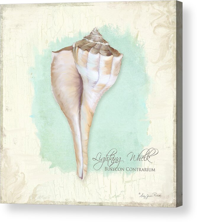 Lightning Whelk Shell Acrylic Print featuring the painting Inspired Coast VII - Lightning Whelk Shell on Board by Audrey Jeanne Roberts
