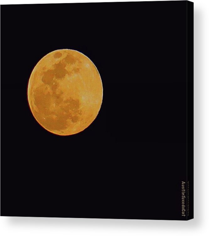Evening Acrylic Print featuring the photograph #instaawesome #fullmoon Over The by Austin Tuxedo Cat