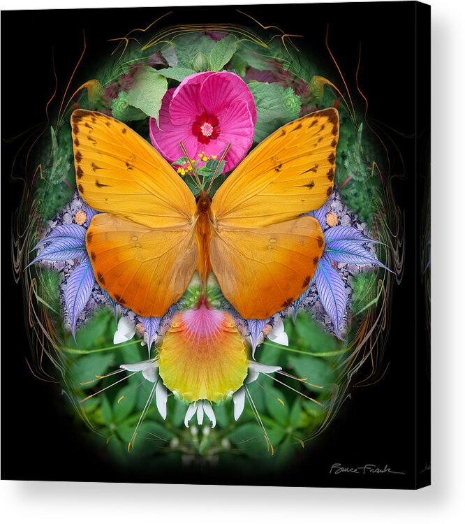 Botanical Acrylic Print featuring the photograph Intensity by Bruce Frank