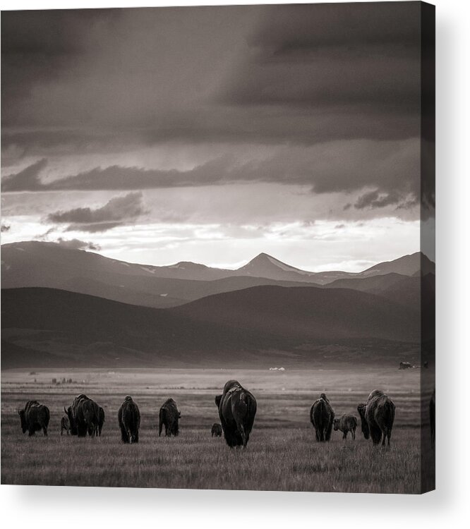 American West Acrylic Print featuring the photograph Into the sunset - BW by Chris Bordeleau