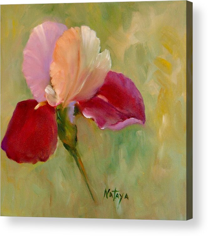 Iris Acrylic Print featuring the painting Iris Elegante by Nataya Crow