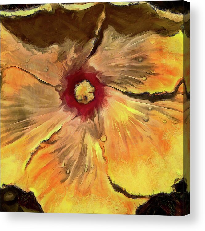 Flower Acrylic Print featuring the mixed media Isabella by Trish Tritz