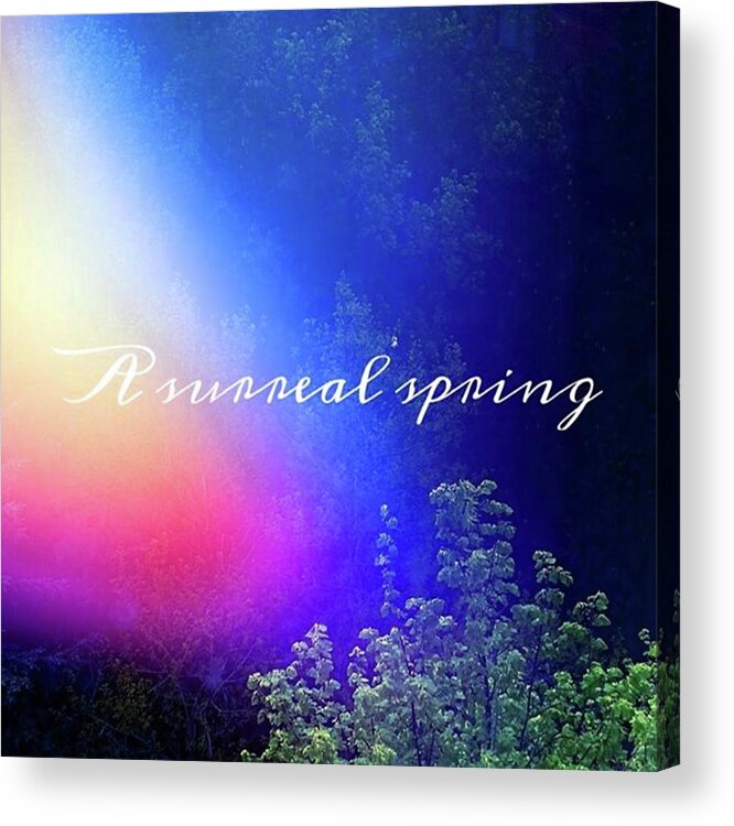  Acrylic Print featuring the photograph It Already Feels Like A Surreal Spring! by Ishane Perera