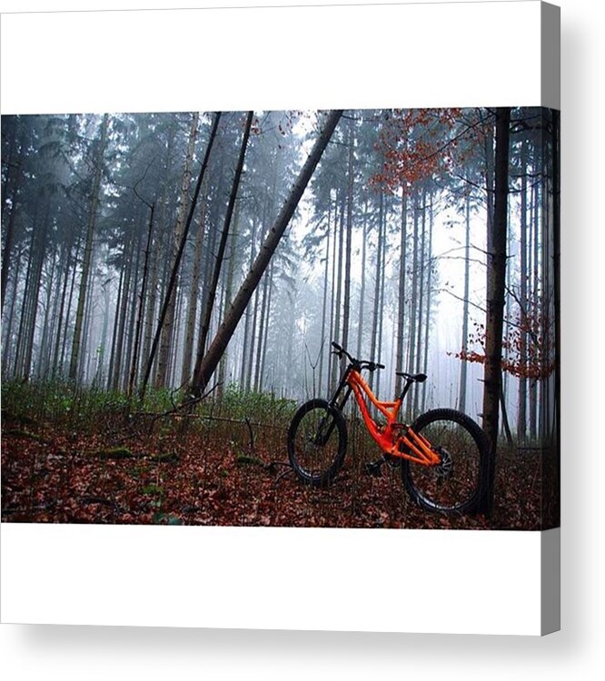 Beautiful Acrylic Print featuring the photograph It Is A Misty Day...
.

schaut Auch by Adrian Meixner