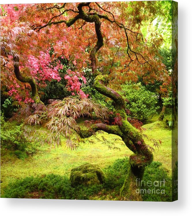 Trees Acrylic Print featuring the photograph Japanese Garden by Anita Adams