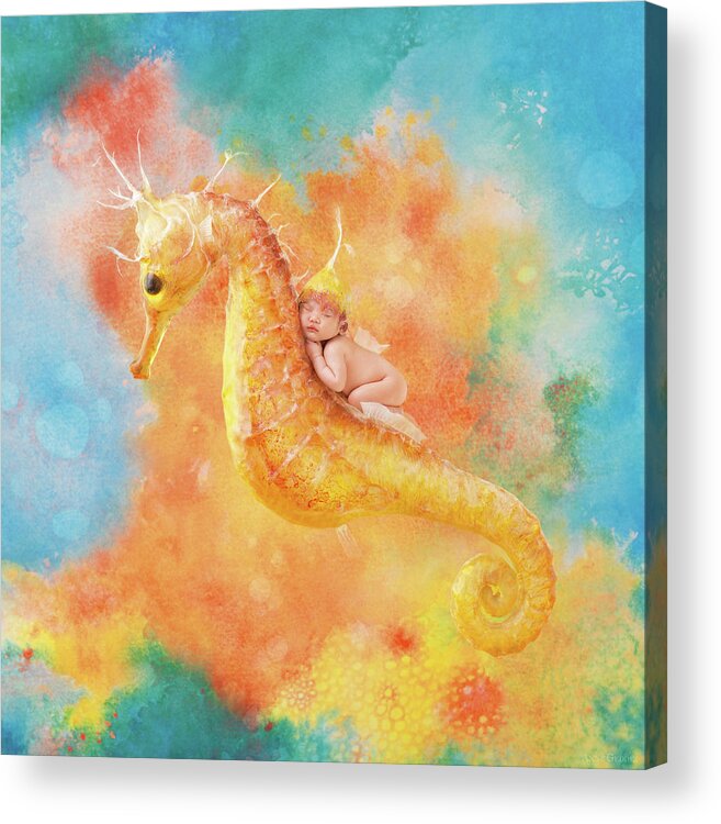 Under The Sea Acrylic Print featuring the photograph Jessabella riding a Seahorse by Anne Geddes