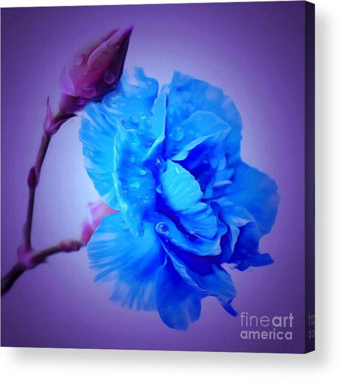 Carnation Acrylic Print featuring the photograph Just Remember I Love You by Krissy Katsimbras