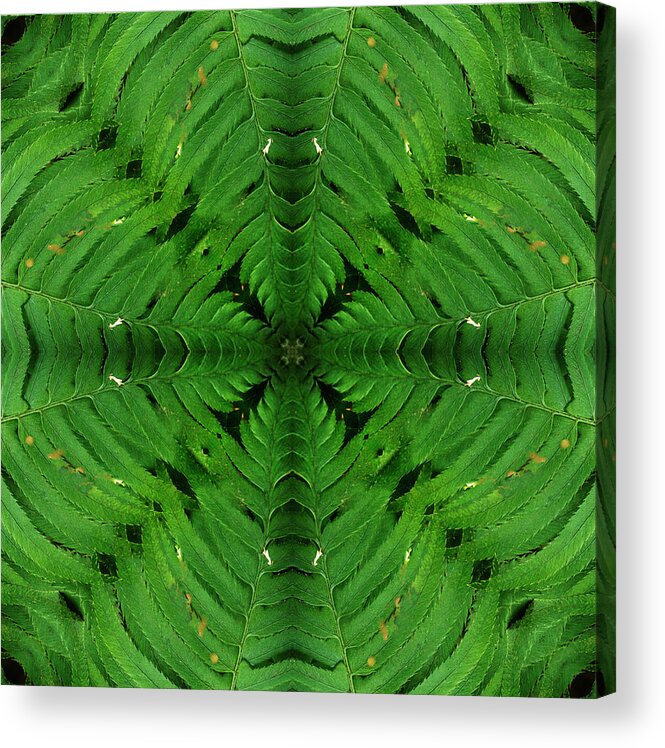 Kaleidoscope Acrylic Print featuring the photograph Kal3 by Morgan Wright