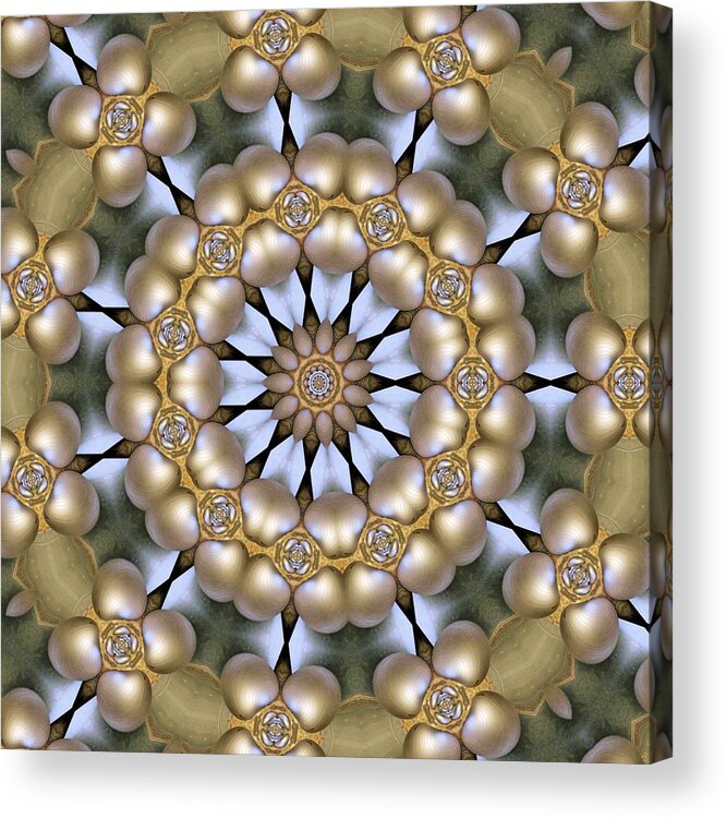 Kaleidoscope Acrylic Print featuring the digital art Kaleidoscope 130 by Ron Bissett