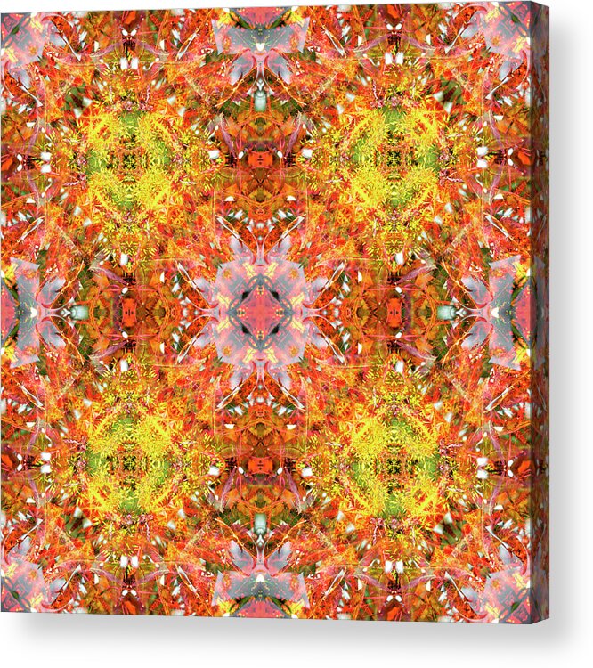Kaleidoscope Acrylic Print featuring the digital art Liquidambar Red by Frans Blok