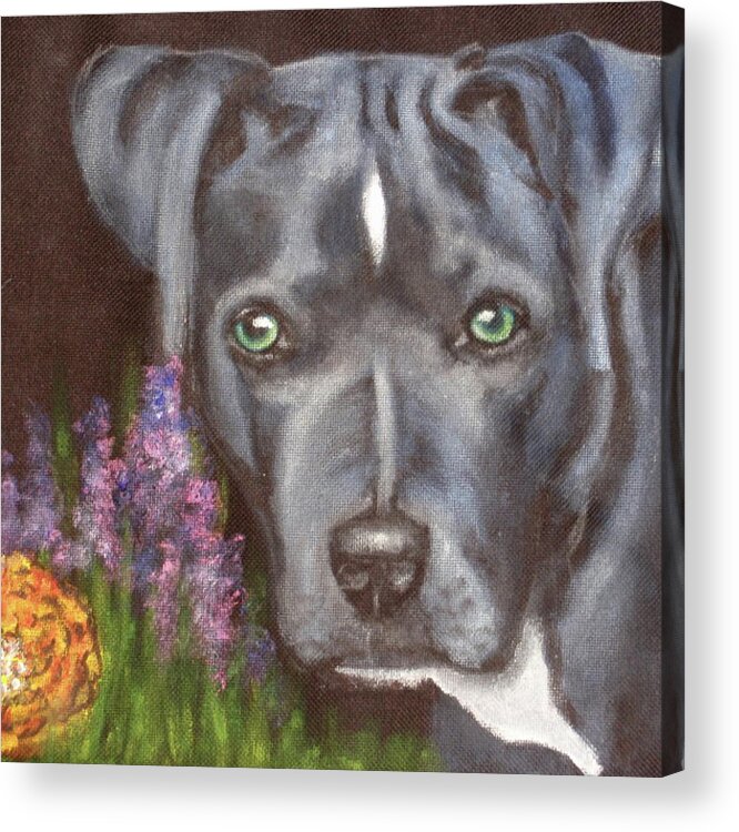 Blue Dog Acrylic Print featuring the painting Kennedy by Carol Russell