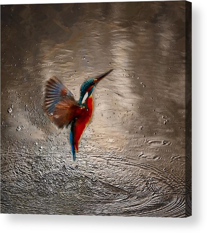 Kingfisher Acrylic Print featuring the painting Kingfisher by Mark Taylor