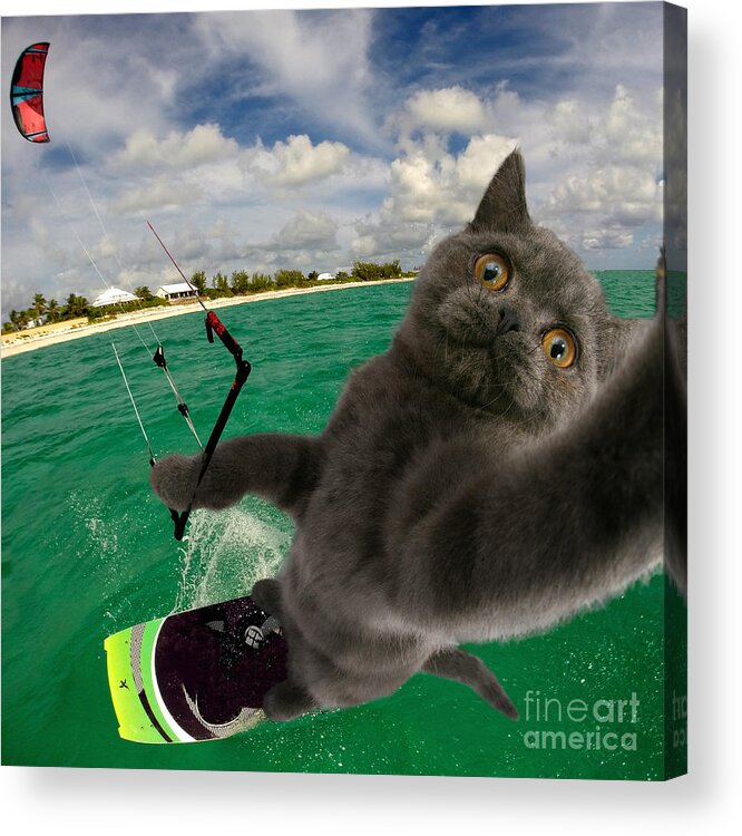 Kite Acrylic Print featuring the photograph Kite Surfing Cat Selfie by Warren Photographic