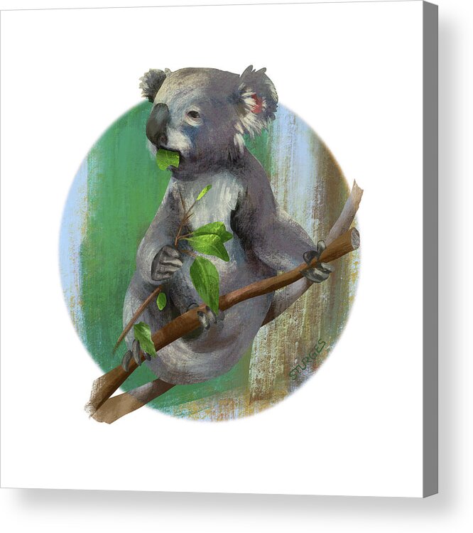 Animals Acrylic Print featuring the digital art Koala eating by Simon Sturge