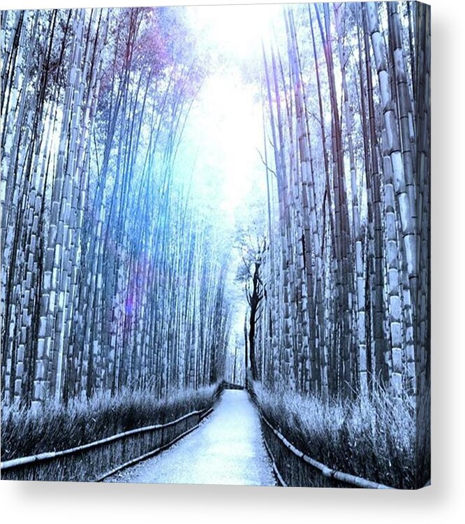 Arashiyamabambooforest Acrylic Print featuring the photograph Kyoto, Arashiyama Bamboo Forest
京都 by M Y