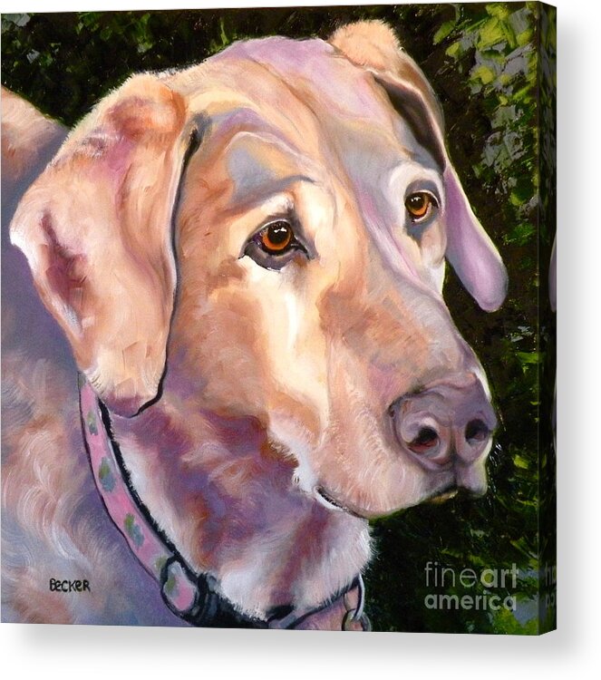 Yellow Lab Paintings Acrylic Print featuring the painting Lab One of a Kind by Susan A Becker