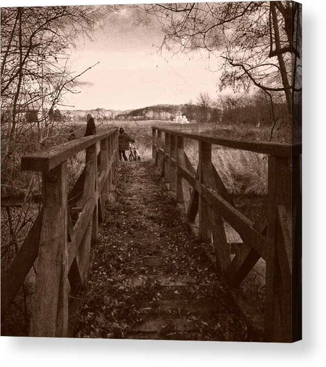 Bridge Acrylic Print featuring the photograph #landscape #bridge #family #tree by Mandy Tabatt