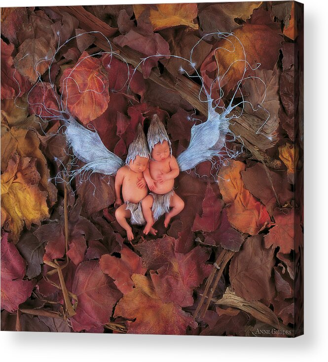 Autumn Acrylic Print featuring the photograph Fall Leaf Fairies by Anne Geddes