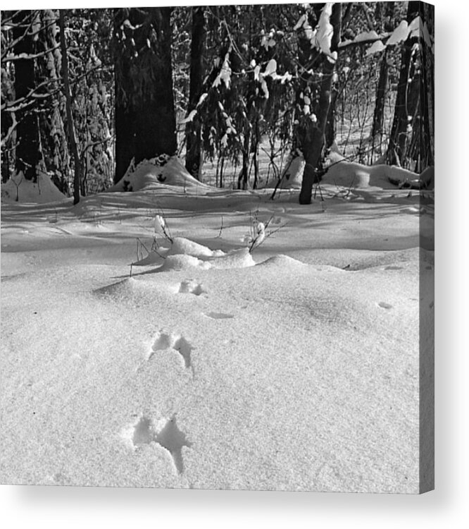 Lumia1520 Acrylic Print featuring the photograph Leaving Traces

#monochrome #bnw by Mandy Tabatt