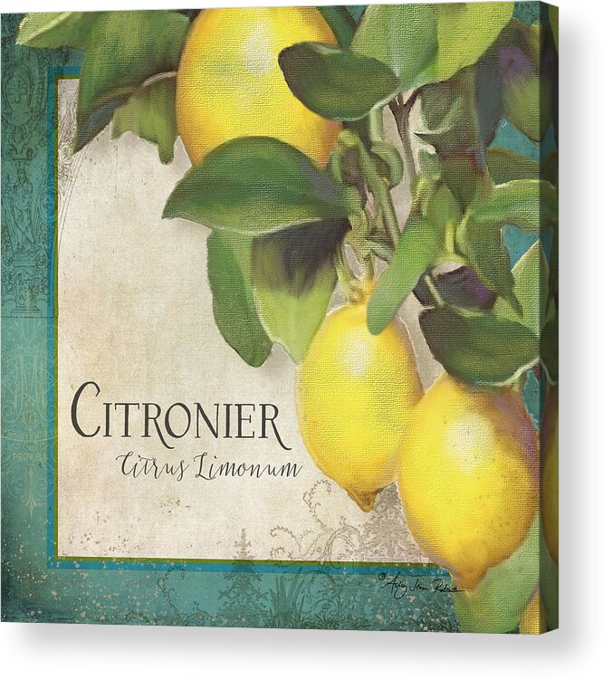Lemons Acrylic Print featuring the painting Lemon Tree - Citronier Citrus Limonum by Audrey Jeanne Roberts