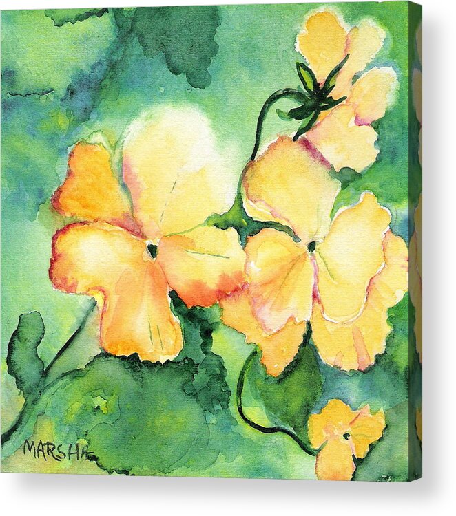 Yellow Pansy Green Floral Watercolor Painting Acrylic Print featuring the painting Let the Sun Shine Down by Marsha Woods