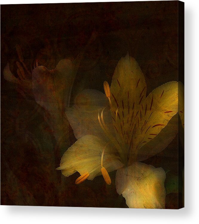 Mixed Media Acrylic Print featuring the photograph Lilies II by Bonnie Bruno