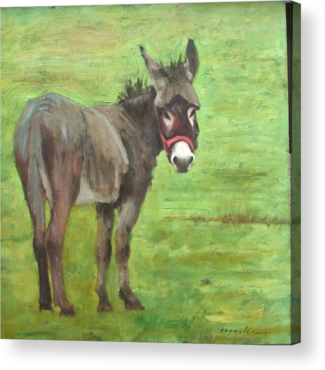 Burro Acrylic Print featuring the painting Little Burro by John Reynolds