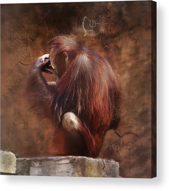 Orangutan Acrylic Print featuring the photograph Little Einstein by Sharon Jones