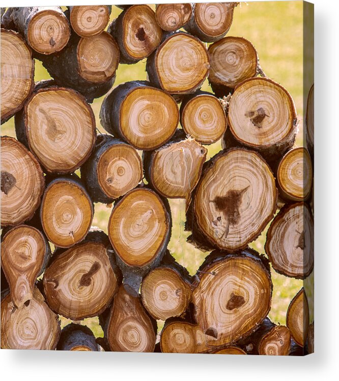 Logs Acrylic Print featuring the photograph Log Jam by Cathy Kovarik