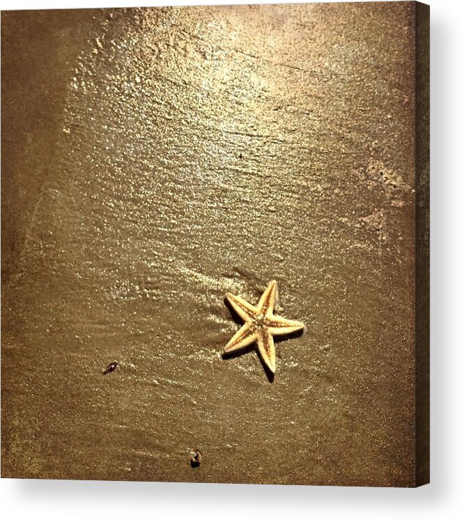 Lone Starfish On The Beach Acrylic Print featuring the photograph Lone Starfish on the Beach by Debra Martz