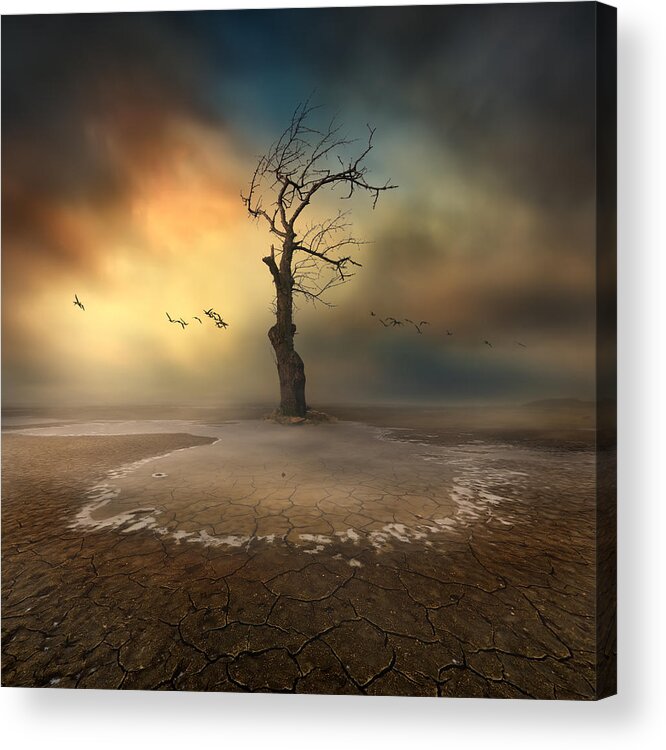 Landscape Acrylic Print featuring the photograph Lonely by Piotr Krol (bax)