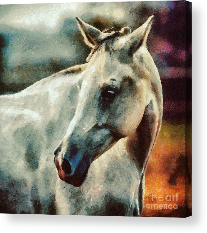 Painting Acrylic Print featuring the painting Lonely white horse Painting by Dimitar Hristov