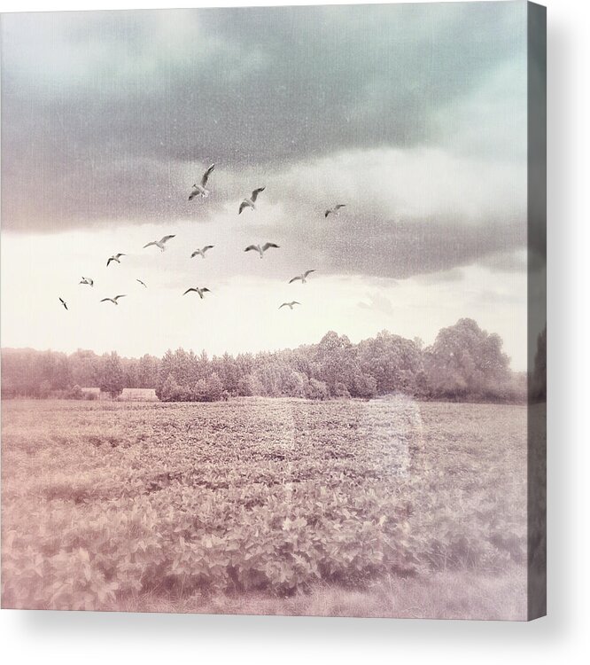 Digital Art Acrylic Print featuring the digital art Lost In The Fields Of Time by Melissa D Johnston