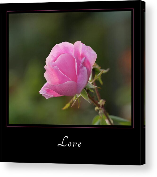 Inspiration Acrylic Print featuring the photograph Love 2 by Mary Jo Allen