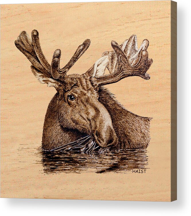  Acrylic Print featuring the pyrography Marsh Moose Pillow/bag by Ron Haist