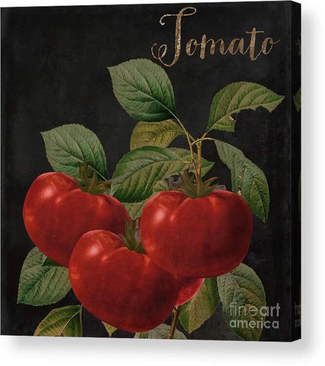 Tomato Acrylic Print featuring the painting Medley Tomato by Mindy Sommers