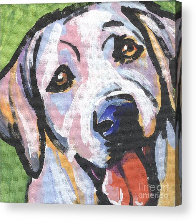 Yellow Lab Acrylic Print featuring the painting Mellow Yellow by Lea S