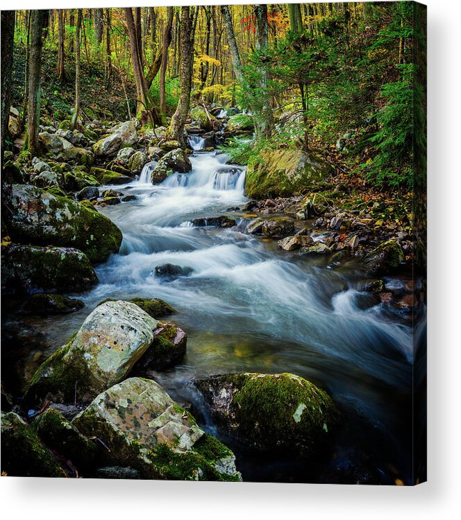Landscape Acrylic Print featuring the photograph Mill Creek in Fall #3 by Joe Shrader