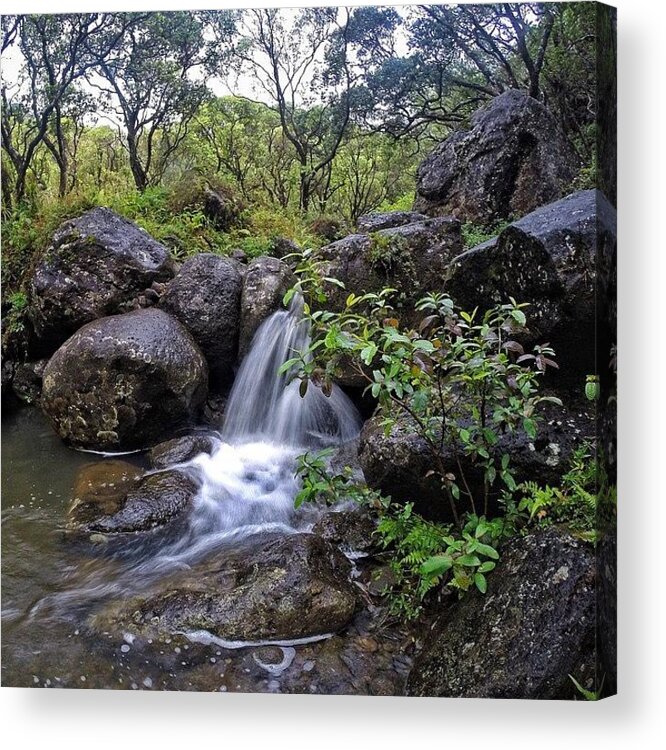 Gopro Acrylic Print featuring the photograph Mini-waterfall On The Kulana'ahane by Brian Governale