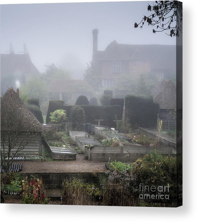 Plants Acrylic Print featuring the photograph Misty Garden, Great Dixter by Perry Rodriguez
